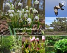 Obszary Natura 2000