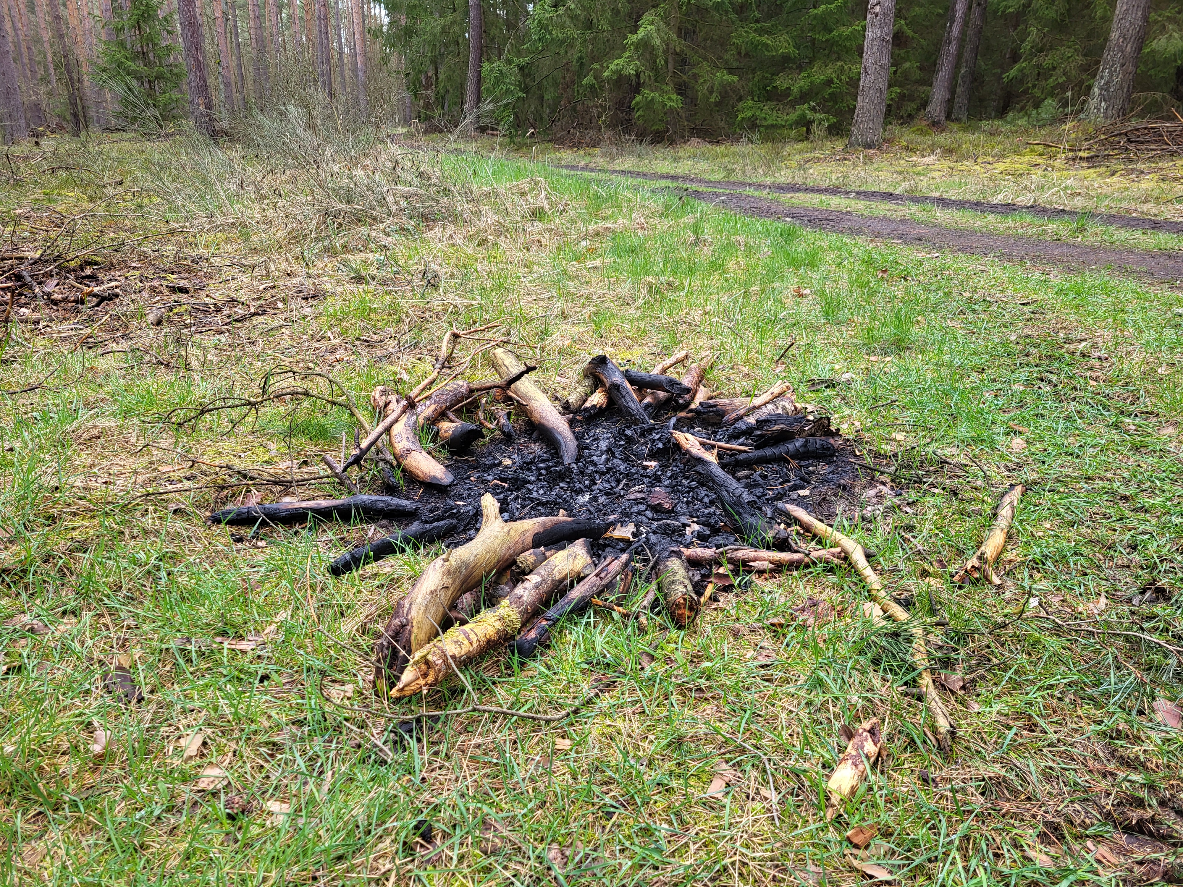 Zdj. 4. To dosłownie i w przenośni igranie z ogniem (fot. Michał Szczepaniak, Nadleśnictwo Lipinki)