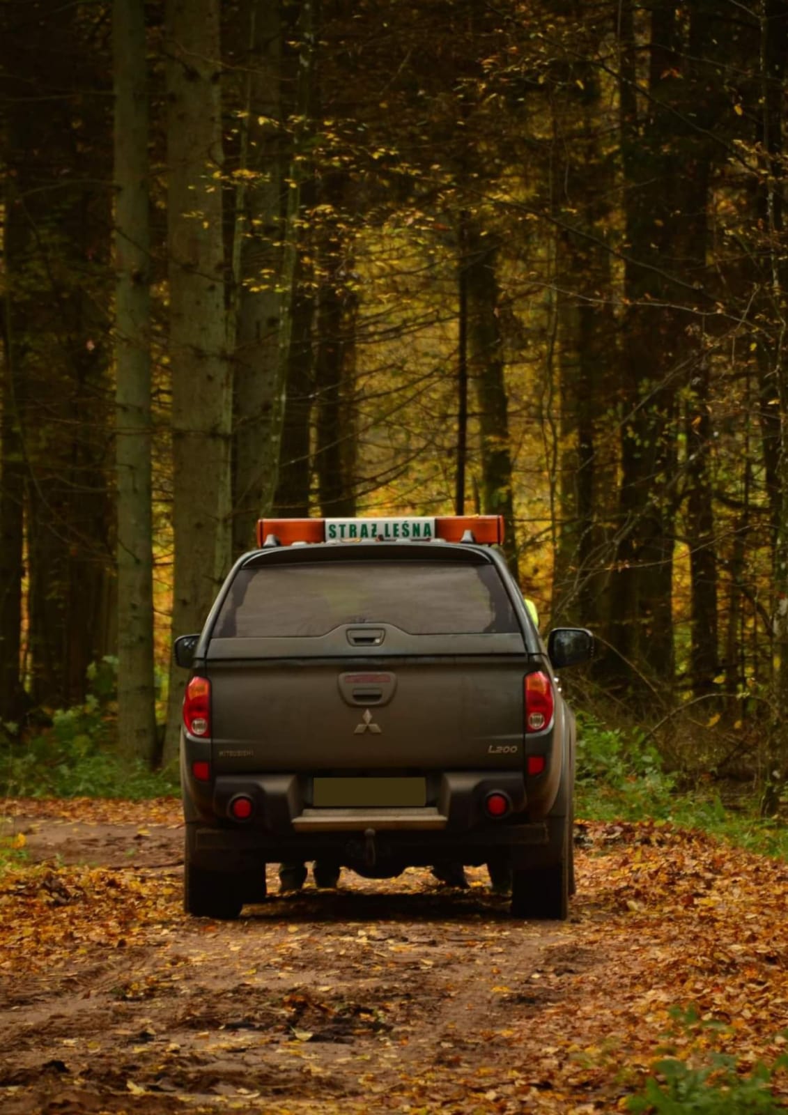 Fotografia przedstawia auto Straży Leśnej (źródło: archiwum DGLP)