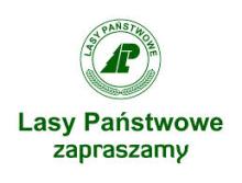 Lasy Państwowe - zapraszamy