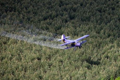 Samoloty chroniące lasy