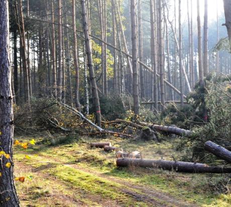 Wsparcie Caritas dla poszkodowanych w sierpniowej klęsce