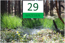 Wrzesień 2018