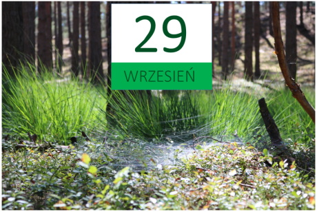 Wrzesień 2018