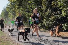 II LEŚNY DOGTREKKING – RELACJA Z POLA WALKI