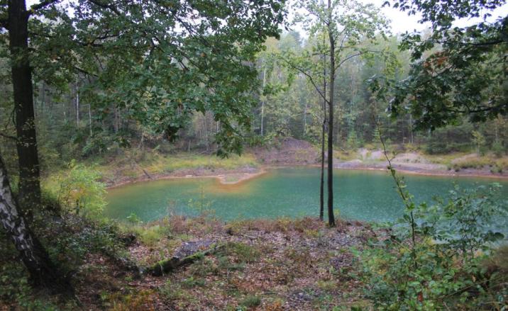 Punkt&#x20;widokowy&#x20;na&#x20;terenie&#x20;trasy&#x20;geoturystycznej&#x20;&#x22;Dawna&#x20;Kopalnia&#x20;Babina&#x22;&#x20;&#x28;Fot&#x2e;&#x20;Ewelina&#x20;Fabiańczyk&#x29;