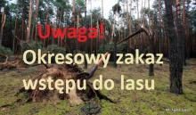 Okresowy zakaz wstępu do lasu