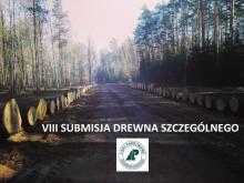 VIII SUBMISJA DREWNA SZCZEGÓLNEGO