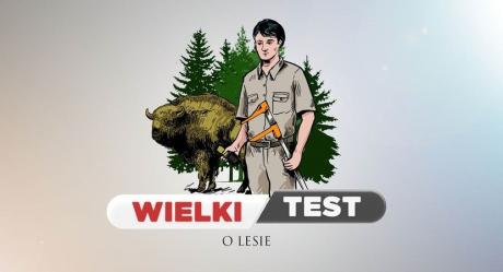 Wielki test o lesie