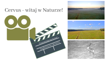 Witaj w naturze!