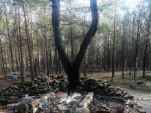 Leśna kapliczka ponownie spłonęła - prawdopodobnie to umyślne działanie!