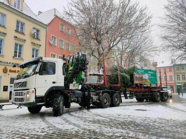 Transport&#x20;kilkunastometrowej&#x20;choinki&#x20;wymaga&#x20;dużej&#x20;precyzji&#x20;-&#x20;drzewo&#x2c;&#x20;aby&#x20;nie&#x20;uległo&#x20;w&#x20;czasie&#x20;drogi&#x20;zniszczeniu&#x2c;&#x20;musi&#x20;być&#x20;podwieszone&#x20;na&#x20;specjalnych&#x20;pasach&#x20;&#x28;fot&#x2e;&#x20;Ewelina&#x20;Fabiańczyk&#x29;