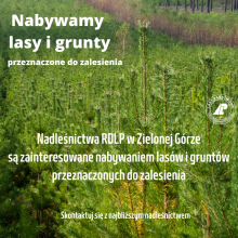 NABYWAMY LASY I GRUNTY