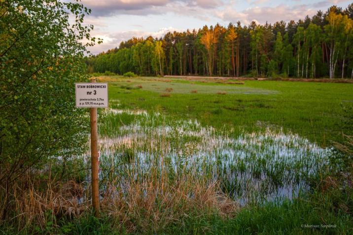 Fot&#x2e;&#x20;Mariusz&#x20;Swędrak&#x2c;&#x20;zdjęcie&#x20;przedstawia&#x20;śródleśny&#x20;staw&#x2c;&#x20;element&#x20;tzw&#x2e;&#x20;&#x22;Stawów&#x20;Bobrowickich&#x22;&#x20;na&#x20;terenie&#x20;Nadleśnictwa&#x20;Szprotawa
