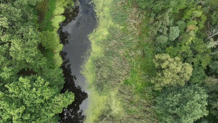 Fragment&#x20;walorów&#x20;przyrodniczych&#x20;z&#x20;&#x22;lotu&#x20;ptaka&#x22;&#x20;na&#x20;terenie&#x20;utworzonego&#x20;Rezerwatu&#x20;&#x22;Klenickie&#x20;Zakole&#x22;&#x2f;&#x20;fot&#x2e;&#x20;Grzegorz&#x20;Socha