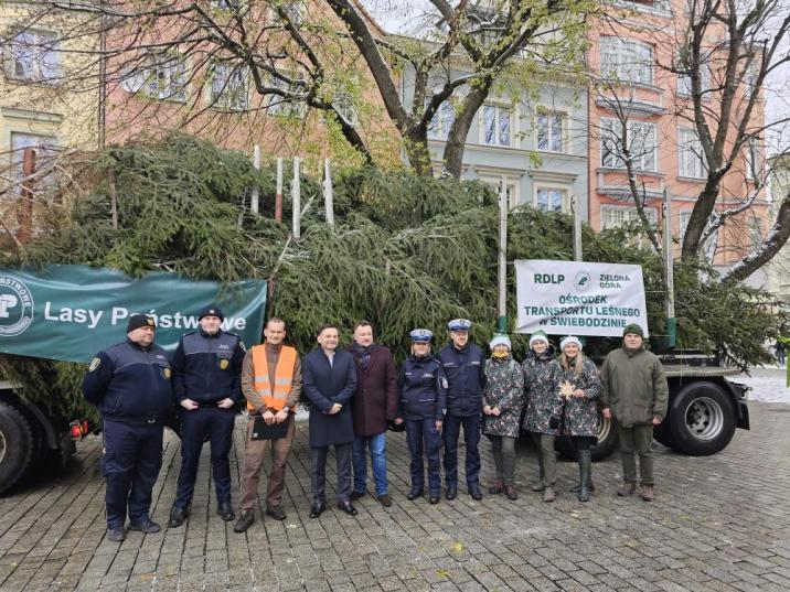 Leśnicy&#x2c;&#x20;przedstawiciele&#x20;Urzędu&#x20;Miasta&#x20;i&#x20;instytucji&#x20;zaangażowanych&#x20;w&#x20;przekazanie&#x20;choinki&#x20;z&#x20;lasu&#x20;dla&#x20;zielonogórzan&#x2f;&#x20;fot&#x2e;&#x20;A&#x2e;&#x20;Miszon