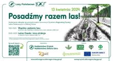 Jubileuszowa edycja akcji "Posadźmy Razem Las" w Zielonej Górze - zrób coś dla przyrody!