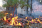 W ogniu natury: Rosnące zagrożenie pożarowe lasów