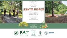 "Leśnym tropem" ku zdrowiu i natury! Zapraszamy do udziału w ciekawym projekcie Lasów Państwowych