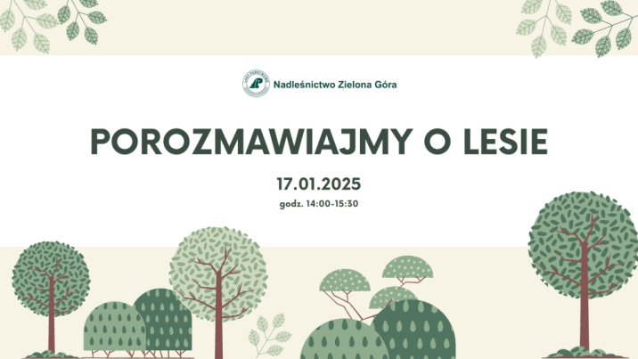 Canva&#x3a;&#x20;E&#x2e;&#x20;Fabianczyk