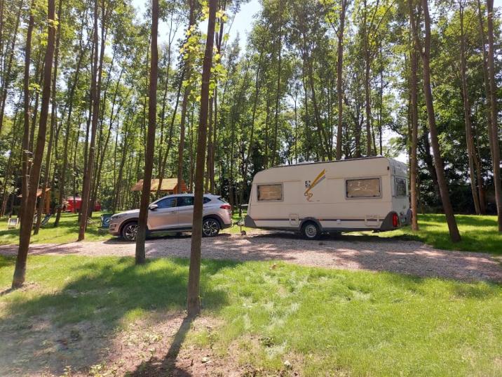 Kamperowisko&#x20;nad&#x20;Jeziorem&#x20;Lubińskim&#x20;w&#x20;Nadleśnictwie&#x20;Torzym&#x2c;&#x20;fot&#x2e;&#x20;U&#x2e;&#x20;Kaczała&#x20;&#x28;RDLP&#x20;w&#x20;Zielonej&#x20;Górze&#x29;