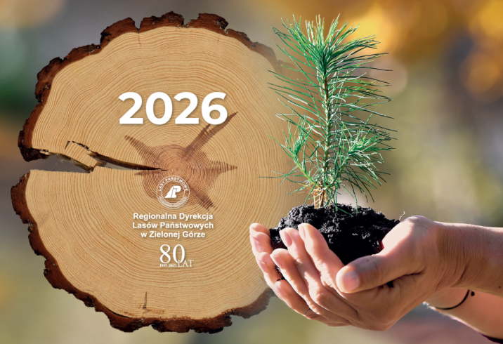 Okładka firmowego kalendarza RDLP w Zielonej Górze na 2026 rok.